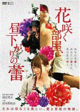 第七次日落 科幻电影在线观看